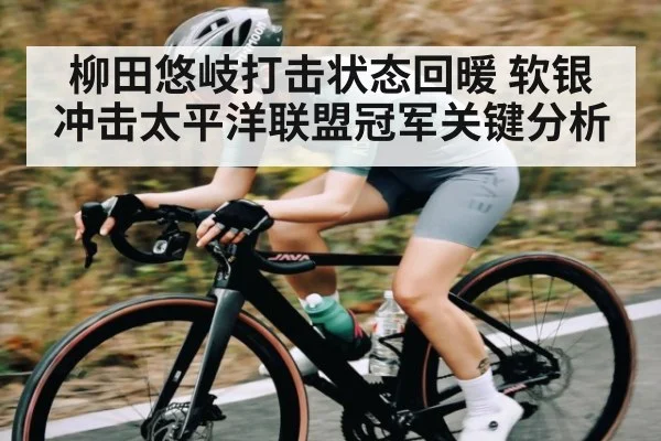 柳田悠岐打击状态回暖 软银冲击太平洋联盟冠军关键分析